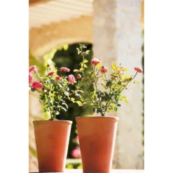 Terracotta Long Tom Plant Pot - 23cm -Cheap Grove Sanctuary Store 12805967 1664833173242506