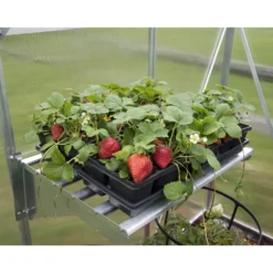 Palram Canopia Heavy Duty Shelf Kit -Cheap Grove Sanctuary Store 12810967 1044833195030729