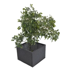 Canadian Spa Rattan Square Straight Spa Garden Planter -Cheap Grove Sanctuary Store 12817846 1244833195202818