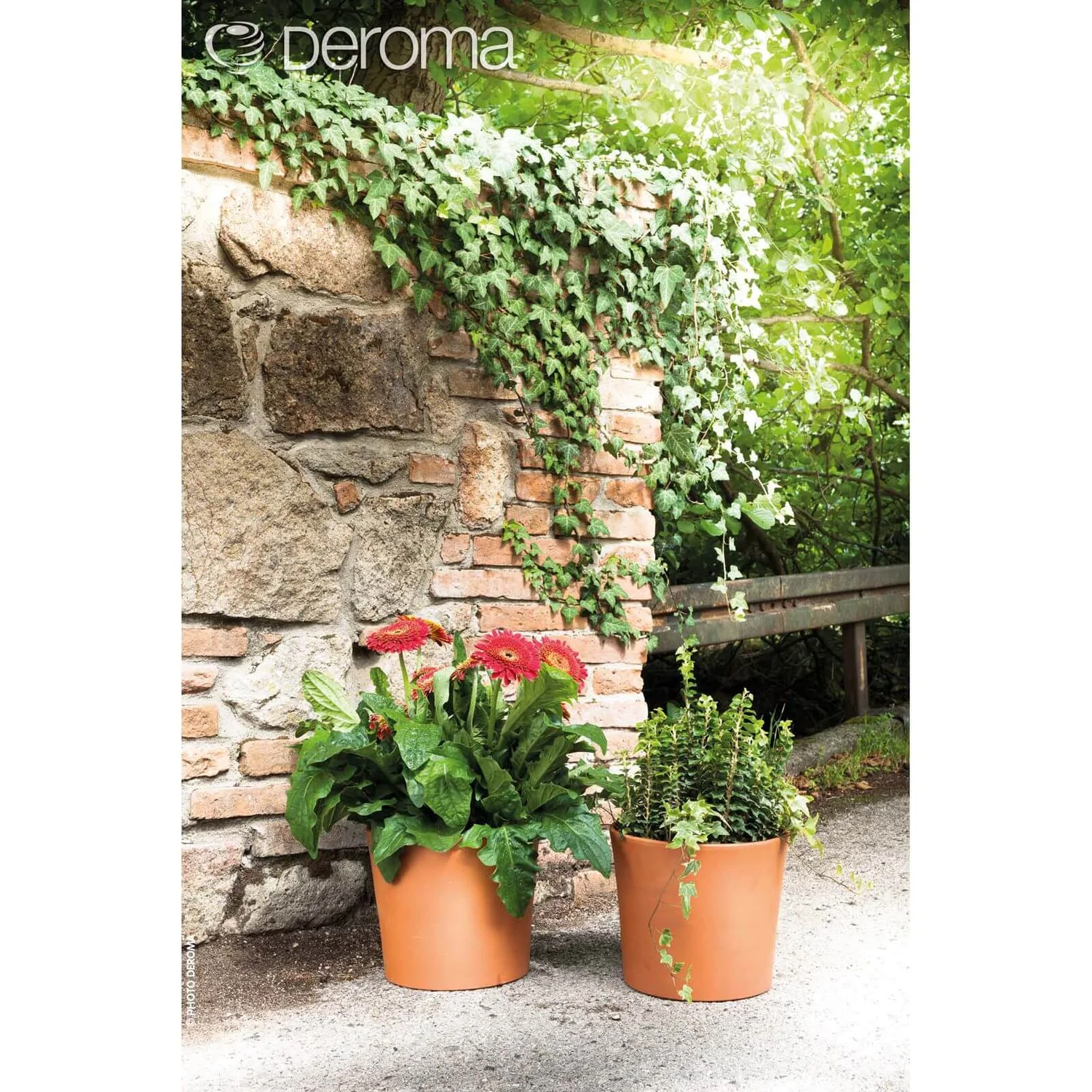 Deroma Terracotta Border Cylinder Plant Pot - 28cm 2 Deroma Terracotta Border Cylinder Plant Pot - 28cm - Image 2