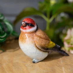 None Resin Blue Tit, Chaffinch & Robin Birds 14 None Resin Blue Tit, Chaffinch & Robin Birds -Cheap Grove Sanctuary Store 12832873 1835025282409662