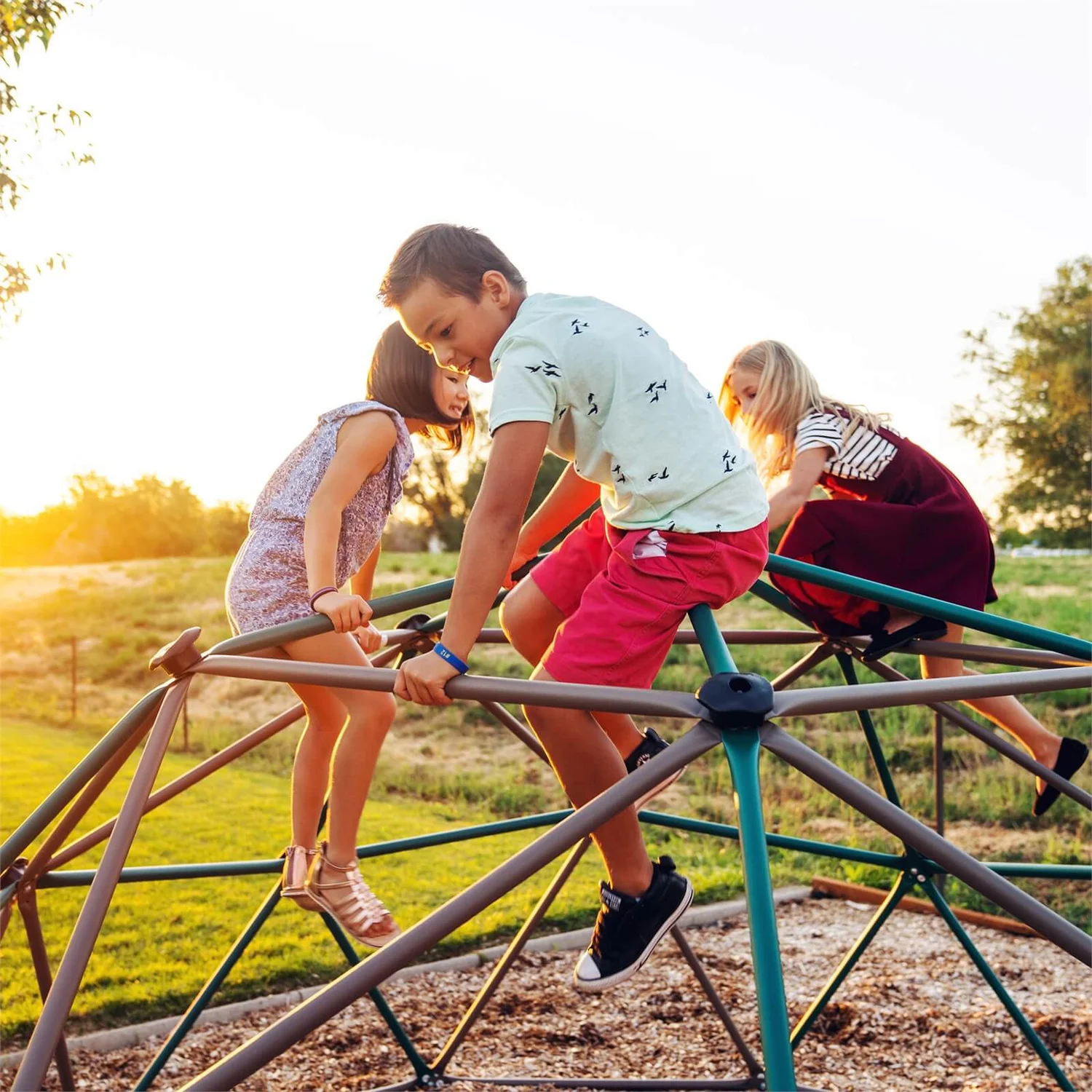 Lifetime Climbing Geodome - Earthtone 5 Lifetime Climbing Geodome - Earthtone - Image 5