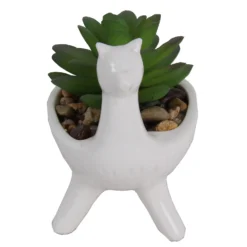 Artificial Alpaca Flower Succulent -Cheap Grove Sanctuary Store 12879280 1014858347995445