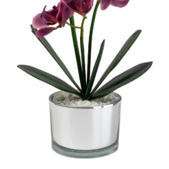 Orchid With Silver Glass Pot - Purple -Cheap Grove Sanctuary Store 12879285 1054864281948609