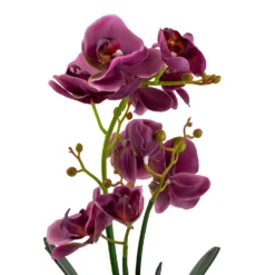 Orchid With Silver Glass Pot - Purple -Cheap Grove Sanctuary Store 12879285 2084864281975504