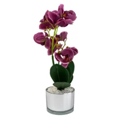 Orchid With Silver Glass Pot - Purple -Cheap Grove Sanctuary Store 12879285 4804864281923592