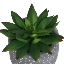 Small Succulent - Grey -Cheap Grove Sanctuary Store 12909500 1734869235660464