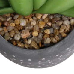 Small Succulent - Grey -Cheap Grove Sanctuary Store 12909500 5574869235621944