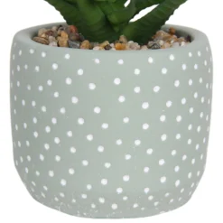Small Succulent - Green -Cheap Grove Sanctuary Store 12909501 1514869235621446