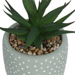 Small Succulent - Green -Cheap Grove Sanctuary Store 12909501 2094869235594320