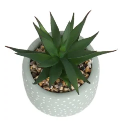 Small Succulent - Green -Cheap Grove Sanctuary Store 12909501 6844869235562523