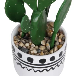 Cactus In Abstract Pot -Cheap Grove Sanctuary Store 12909502 2094869235640256