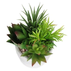 Mixed Succulent In Grey Pot -Cheap Grove Sanctuary Store 12909503 2024869235594281