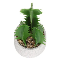 Cactus In Textured Pot -Cheap Grove Sanctuary Store 12909506 2804869235539384