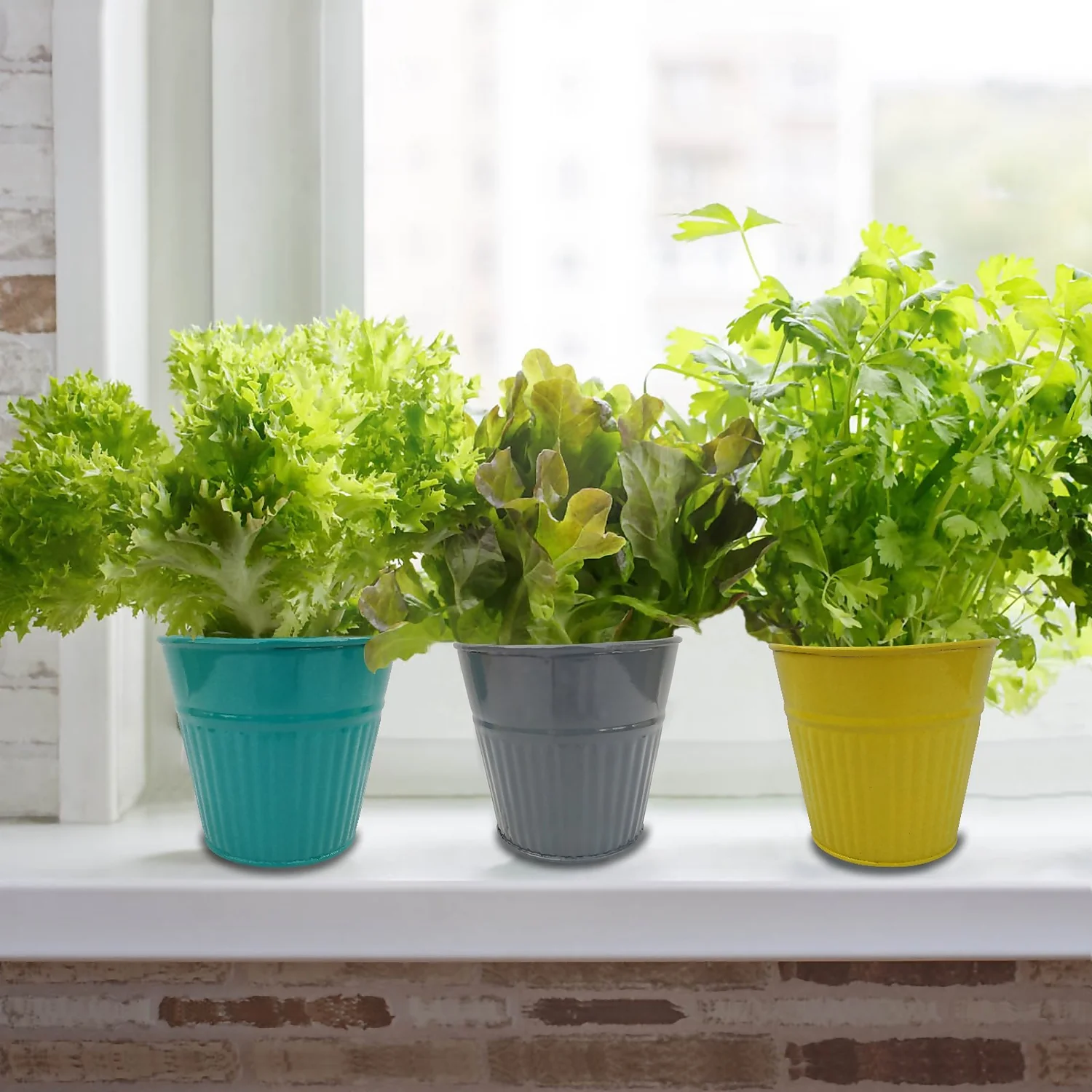 Ribbed Planter (3 Colour Mix) - 14cm 2 Ribbed Planter (3 Colour Mix) - 14cm - Image 2