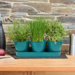 Zinc Ribbed Herb Pots & Tray -Cheap Grove Sanctuary Store 13193962 7244933502600220