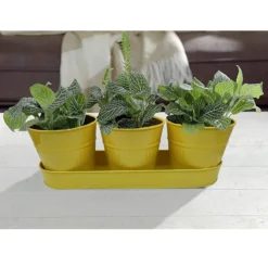 Zinc Ribbed Herb Pots & Tray -Cheap Grove Sanctuary Store 13193962 8744933502628279