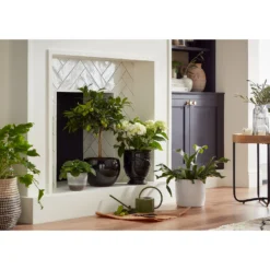 Perla White Plant Pot - 24cm -Cheap Grove Sanctuary Store 13432920 7464948242971850