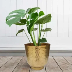 Hammered Brass Indoor Plant Pot - 16cm -Cheap Grove Sanctuary Store 13887185 1304999810003221