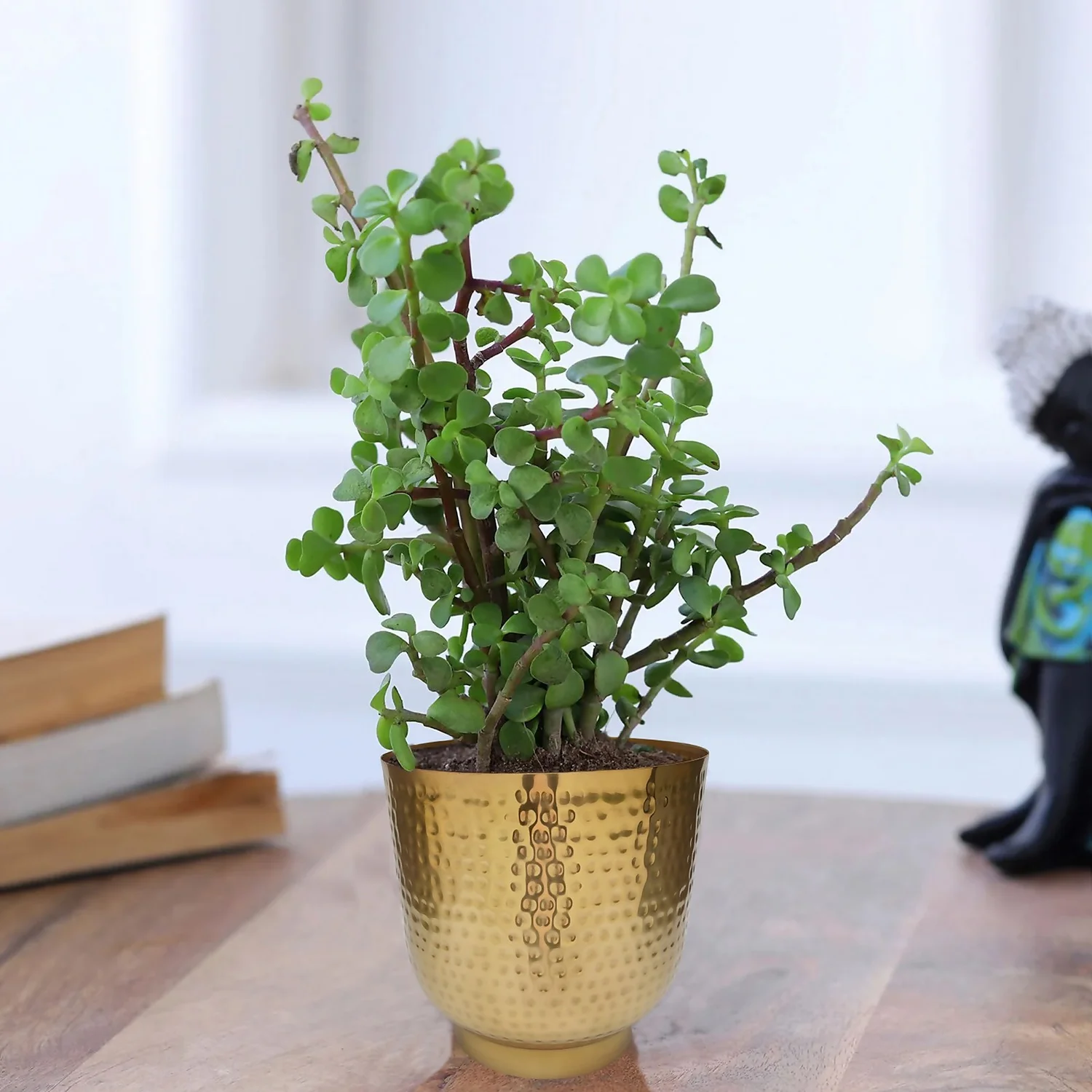 Hammered Brass Indoor Plant Pot - 20cm 5 Hammered Brass Indoor Plant Pot - 20cm - Image 5