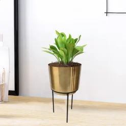 Brass Indoor Plant Pot With Straight Stand - 14cm 10 Brass Indoor Plant Pot With Straight Stand - 14cm -Cheap Grove Sanctuary Store 13887189 1004999809742584