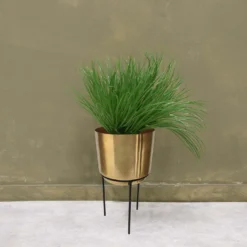 Brass Indoor Plant Pot With Straight Stand - 14cm 11 Brass Indoor Plant Pot With Straight Stand - 14cm -Cheap Grove Sanctuary Store 13887189 2044999809776136