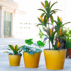 Glazed Finish Planter Mustard 30cm -Cheap Grove Sanctuary Store 13928631 8775001956194656