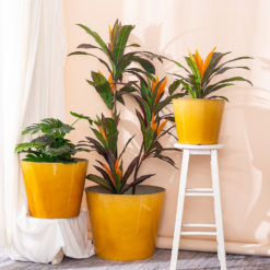 Glazed Finish Planter Mustard 40cm -Cheap Grove Sanctuary Store 13928632 1075001956273763