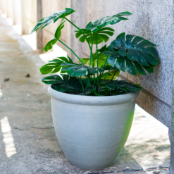 Ashford Planter Grey 35cm -Cheap Grove Sanctuary Store 13928636 1105001955420998