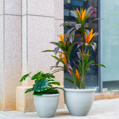 Ashford Planter Grey 35cm -Cheap Grove Sanctuary Store 13928636 4345001955583745