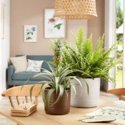 Scheurich Ripple White Indoor Pot - 14cm -Cheap Grove Sanctuary Store 13953256 1364987120105689