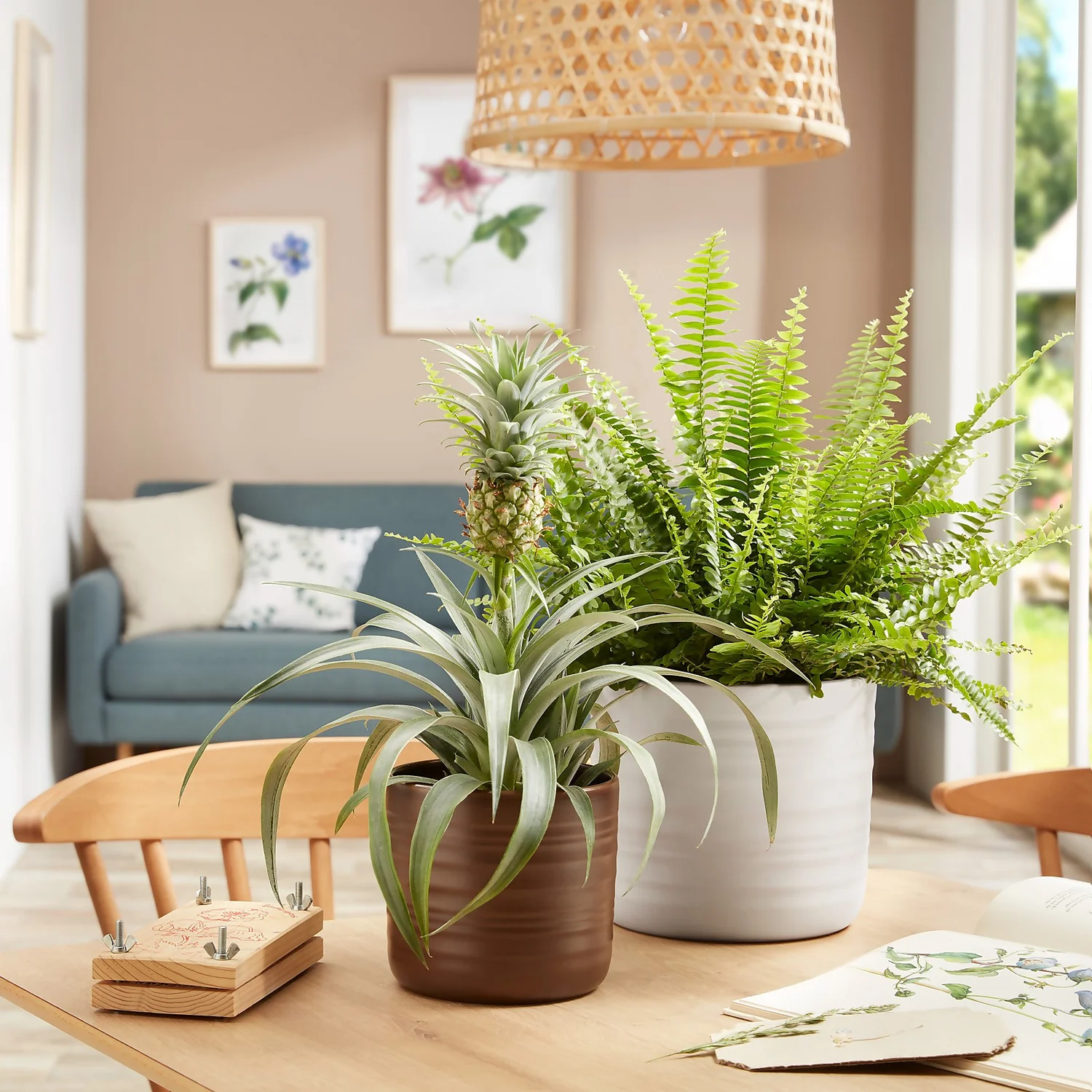 Scheurich Ripple Brown Indoor Pot - 23cm 2 Scheurich Ripple Brown Indoor Pot - 23cm - Image 2