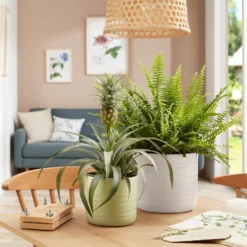 Scheurich Ripple Soft Green Indoor Pot - 20cm -Cheap Grove Sanctuary Store 13953267 1214987119947667