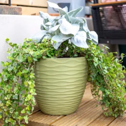 Wave Pot Olive - 33cm -Cheap Grove Sanctuary Store 13973617 8945011239984387
