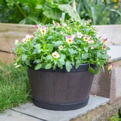 Banded Whiskey Barrel Planter - 39cm -Cheap Grove Sanctuary Store 13973620 9525011238741097