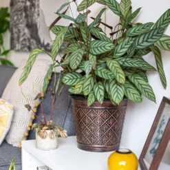 Vintage Allium Patterned Cone Pot - 37cm -Cheap Grove Sanctuary Store 13973621 6475011239983391