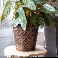 Vintage Allium Patterned Cone Pot - 37cm -Cheap Grove Sanctuary Store 13973621 8485011239919857