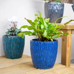 Chiswick Textured Pot Blue - 18cm -Cheap Grove Sanctuary Store 13973626 1575011238500389