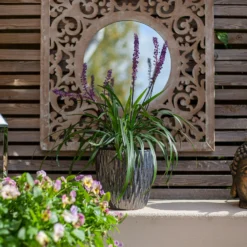 Chiswick Textured Pot Black - 18cm -Cheap Grove Sanctuary Store 13973637 1575011242733968