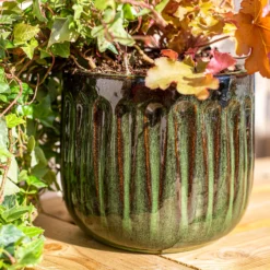 Chiswick Running Pot Green - 18cm -Cheap Grove Sanctuary Store 13973646 1195011239154089