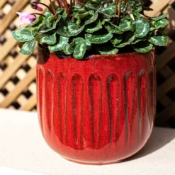 Chiswick Running Pot Red - 38cm -Cheap Grove Sanctuary Store 13973648 1055011238867526