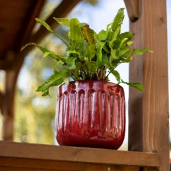 Chiswick Running Pot Red - 38cm -Cheap Grove Sanctuary Store 13973648 5315011238836638