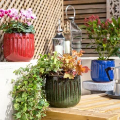 Chiswick Running Pot Red - 18cm -Cheap Grove Sanctuary Store 13973651 2145011238729160