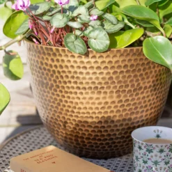 Suva Hammered Pot Bronze - 31cm -Cheap Grove Sanctuary Store 13973654 7605011805627355