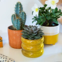 Two Tone Ombre Indoor Plant Pot - 12cm -Cheap Grove Sanctuary Store 14197407 1225024191593906