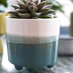 Two Tone Ombre Indoor Plant Pot - 12cm -Cheap Grove Sanctuary Store 14197407 8595024191498422