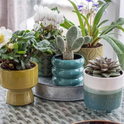 Crackle Leaf Indoor Plant Pot - 12cm -Cheap Grove Sanctuary Store 14197410 1395024191595766