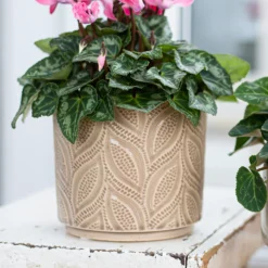 Crackle Leaf Indoor Plant Pot - 12cm -Cheap Grove Sanctuary Store 14197410 2105024191396266