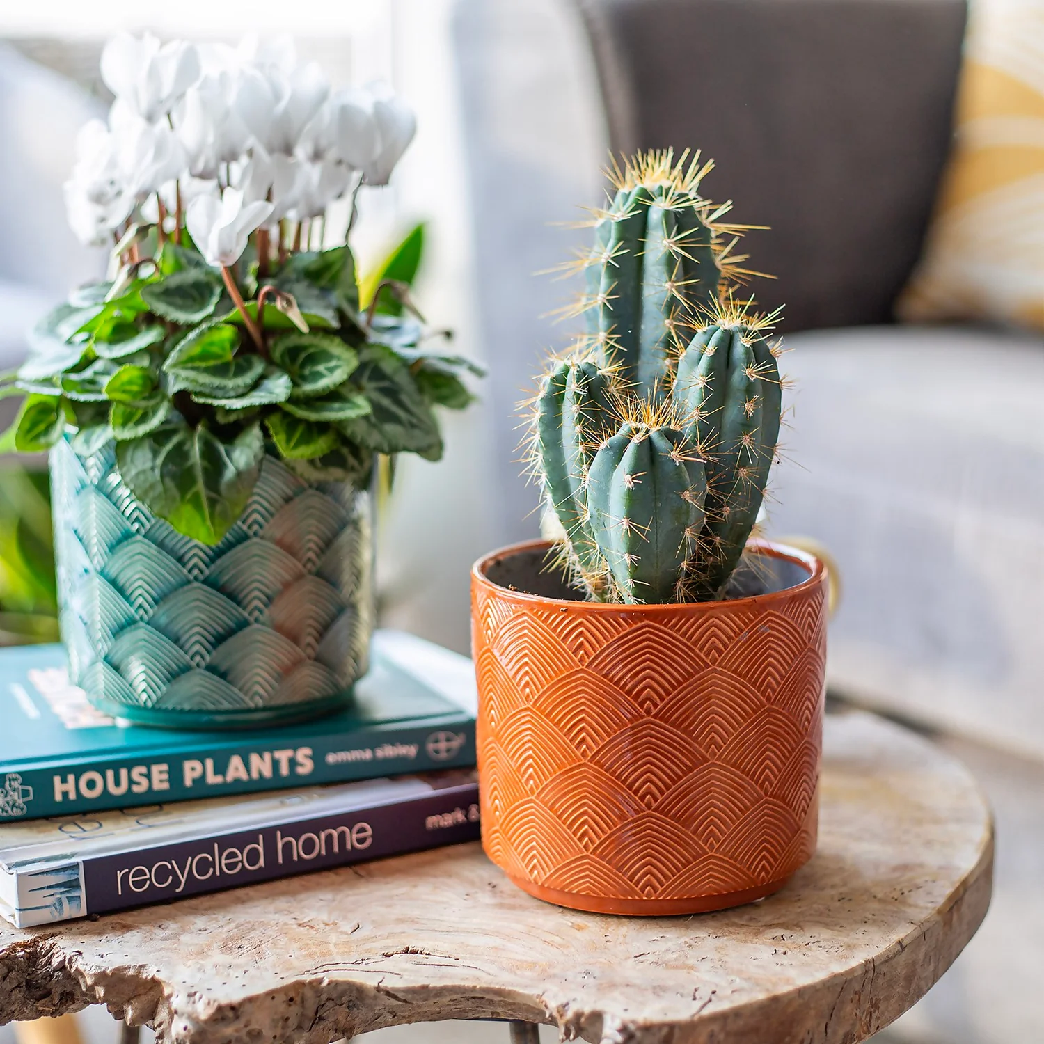 Art Deco Indoor Plant Pot - 12cm 2 Art Deco Indoor Plant Pot - 12cm - Image 2