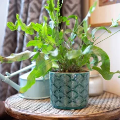 Art Deco Indoor Plant Pot - 12cm 17 Art Deco Indoor Plant Pot - 12cm -Cheap Grove Sanctuary Store 14197411 8455024190966417